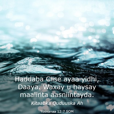 Picture 03 - Yooxanaa 12:7 SOM - Haddaba Ciise ayaa yidhi, Daaya. Waxay u haysay - Bible Verse Picture