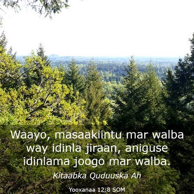 Picture 03 - Yooxanaa 12:8 SOM - Waayo, masaakiintu mar walba way idinla jiraan, - Bible Verse Picture