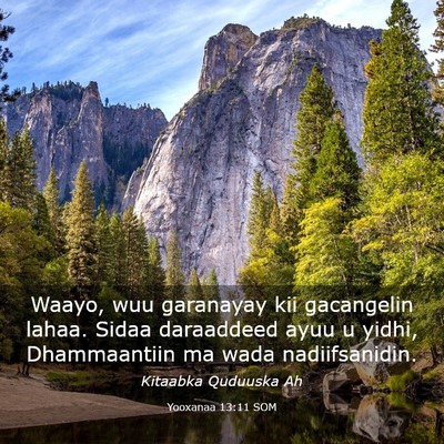 Picture 03 - Yooxanaa 13:11 SOM - Waayo, wuu garanayay kii gacangelin lahaa. Sidaa - Bible Verse Picture