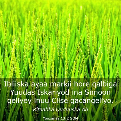 Picture 03 - Yooxanaa 13:2 SOM - Ibliiska ayaa markii hore qalbiga Yuudas - Bible Verse Picture