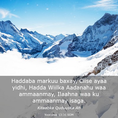 Picture 03 - Yooxanaa 13:31 SOM - Haddaba markuu baxay, Ciise ayaa yidhi, Hadda - Bible Verse Picture