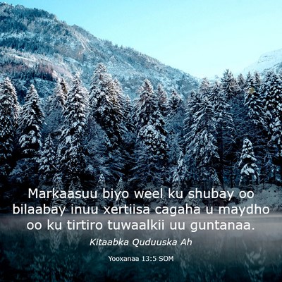 Picture 03 - Yooxanaa 13:5 SOM - Markaasuu biyo weel ku shubay oo bilaabay inuu - Bible Verse Picture