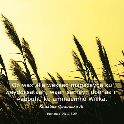 Picture 03 - Yooxanaa 14:13 SOM - Oo wax alla waxaad magacayga ku weyddiisataan, - Bible Verse Picture