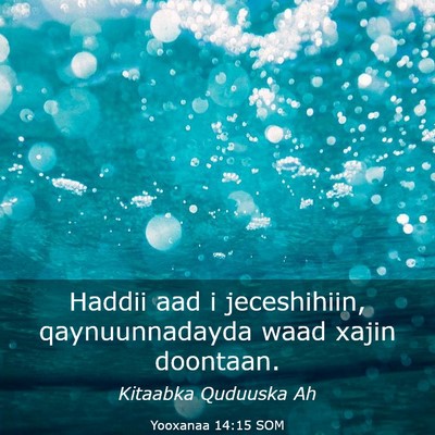 Picture 03 - Yooxanaa 14:15 SOM - Haddii aad i jeceshihiin, qaynuunnadayda waad - Bible Verse Picture