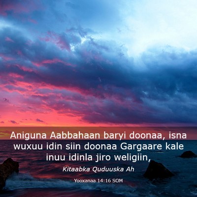 Picture 03 - Yooxanaa 14:16 SOM - Aniguna Aabbahaan baryi doonaa, isna wuxuu idin - Bible Verse Picture