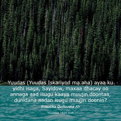 Picture 03 - Yooxanaa 14:22 SOM - Yuudas (Yuudas Iskariyod ma aha) ayaa ku yidhi - Bible Verse Picture
