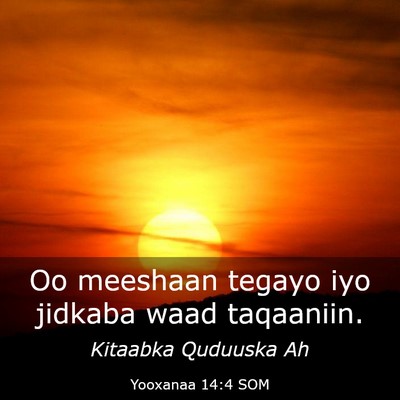 Picture 03 - Yooxanaa 14:4 SOM - Oo meeshaan tegayo iyo jidkaba waad - Bible Verse Picture