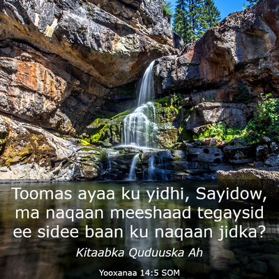 Picture 03 - Yooxanaa 14:5 SOM - Toomas ayaa ku yidhi, Sayidow, ma naqaan meeshaad - Bible Verse Picture