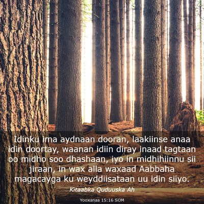 Picture 03 - Yooxanaa 15:16 SOM - Idinku ima aydnaan dooran, laakiinse anaa idin - Bible Verse Picture