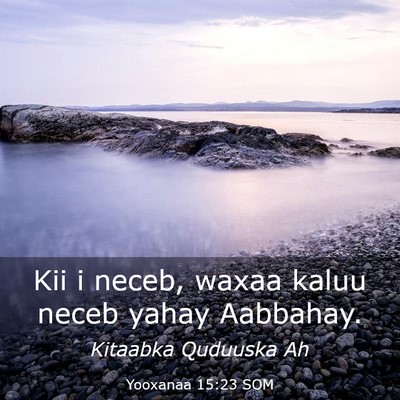 Picture 03 - Yooxanaa 15:23 SOM - Kii i neceb, waxaa kaluu neceb yahay - Bible Verse Picture