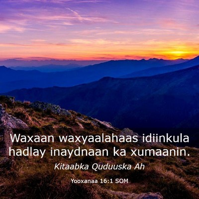 Picture 03 - Yooxanaa 16:1 SOM - Waxaan waxyaalahaas idiinkula hadlay inaydnaan ka - Bible Verse Picture