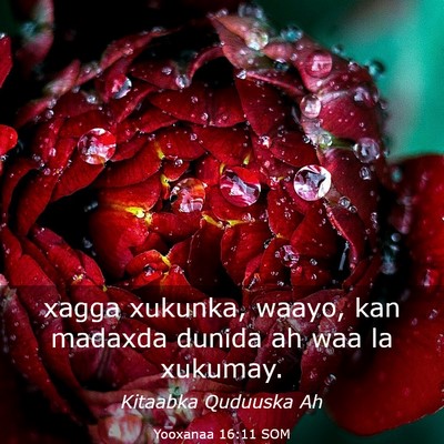 Picture 03 - Yooxanaa 16:11 SOM - xagga xukunka, waayo, kan madaxda dunida ah waa - Bible Verse Picture