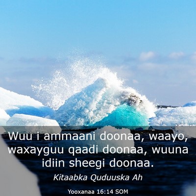 Picture 03 - Yooxanaa 16:14 SOM - Wuu i ammaani doonaa, waayo, waxayguu qaadi - Bible Verse Picture