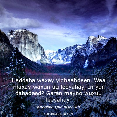 Picture 03 - Yooxanaa 16:18 SOM - Haddaba waxay yidhaahdeen, Waa maxay waxan uu - Bible Verse Picture