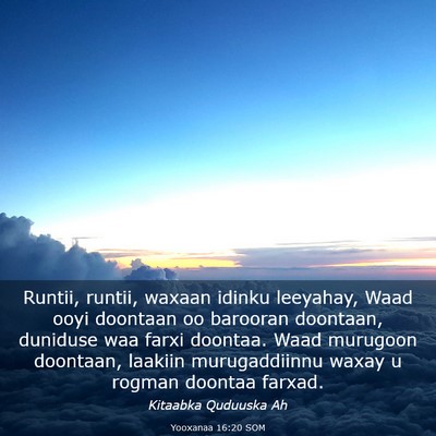 Picture 03 - Yooxanaa 16:20 SOM - Runtii, runtii, waxaan idinku leeyahay, Waad ooyi - Bible Verse Picture
