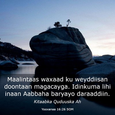 Picture 03 - Yooxanaa 16:26 SOM - Maalintaas waxaad ku weyddiisan doontaan - Bible Verse Picture