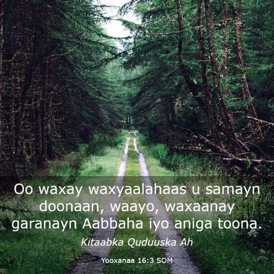 Picture 03 - Yooxanaa 16:3 SOM - Oo waxay waxyaalahaas u samayn doonaan, waayo, - Bible Verse Picture