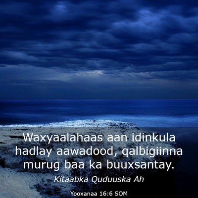 Picture 03 - Yooxanaa 16:6 SOM - Waxyaalahaas aan idinkula hadlay aawadood, - Bible Verse Picture