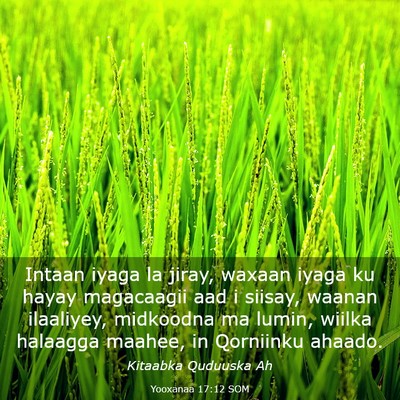 Picture 03 - Yooxanaa 17:12 SOM - Intaan iyaga la jiray, waxaan iyaga ku hayay - Bible Verse Picture