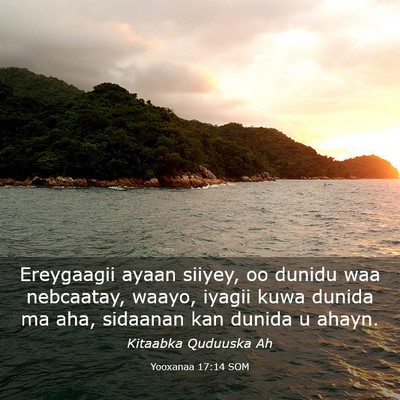 Picture 03 - Yooxanaa 17:14 SOM - Ereygaagii ayaan siiyey, oo dunidu waa nebcaatay, - Bible Verse Picture