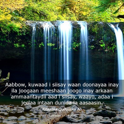 Picture 03 - Yooxanaa 17:24 SOM - Aabbow, kuwaad i siisay waan doonayaa inay ila - Bible Verse Picture