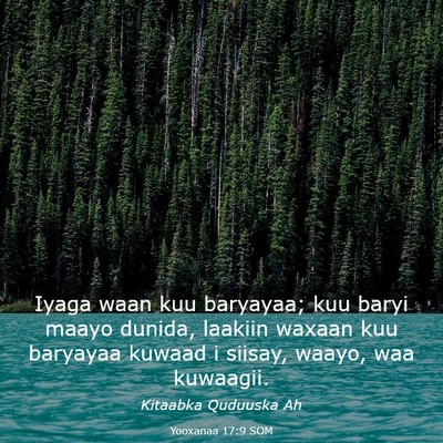 Picture 03 - Yooxanaa 17:9 SOM - Iyaga waan kuu baryayaa; kuu baryi maayo dunida, - Bible Verse Picture