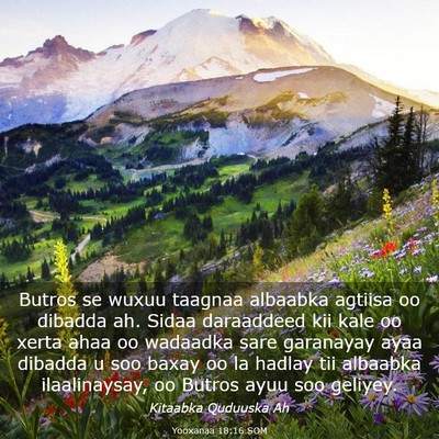 Picture 03 - Yooxanaa 18:16 SOM - Butros se wuxuu taagnaa albaabka agtiisa oo - Bible Verse Picture