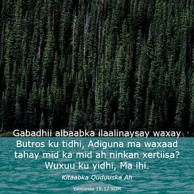 Picture 03 - Yooxanaa 18:17 SOM - Gabadhii albaabka ilaalinaysay waxay Butros ku - Bible Verse Picture