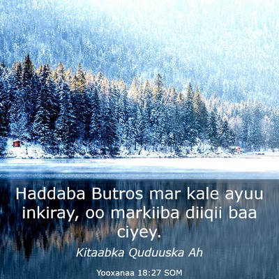 Picture 03 - Yooxanaa 18:27 SOM - Haddaba Butros mar kale ayuu inkiray, oo markiiba - Bible Verse Picture