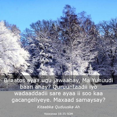 Picture 03 - Yooxanaa 18:35 SOM - Bilaatos ayaa ugu jawaabay, Ma Yuhuudi baan ahay? - Bible Verse Picture