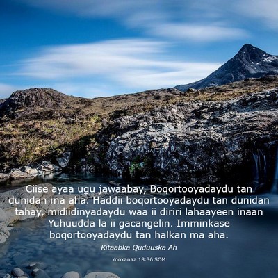 Picture 03 - Yooxanaa 18:36 SOM - Ciise ayaa ugu jawaabay, Boqortooyadaydu tan - Bible Verse Picture