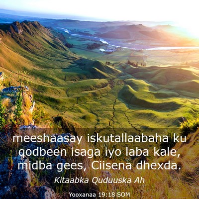Picture 03 - Yooxanaa 19:18 SOM - meeshaasay iskutallaabaha ku qodbeen isaga iyo - Bible Verse Picture