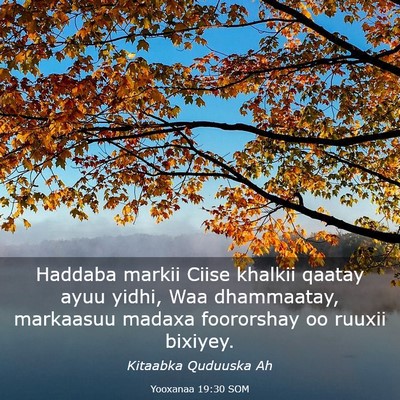 Picture 03 - Yooxanaa 19:30 SOM - Haddaba markii Ciise khalkii qaatay ayuu yidhi, - Bible Verse Picture