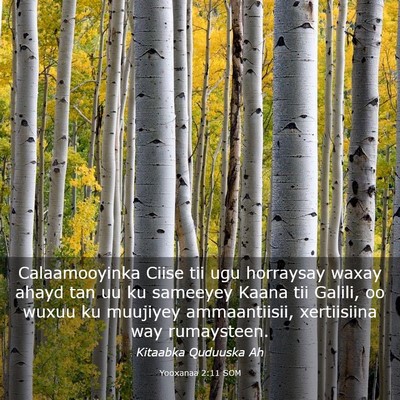 Picture 03 - Yooxanaa 2:11 SOM - Calaamooyinka Ciise tii ugu horraysay waxay ahayd - Bible Verse Picture