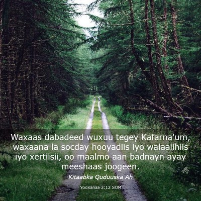 Picture 03 - Yooxanaa 2:12 SOM - Waxaas dabadeed wuxuu tegey Kafarna'um, waxaana - Bible Verse Picture