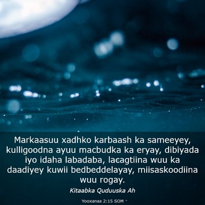Picture 03 - Yooxanaa 2:15 SOM - Markaasuu xadhko karbaash ka sameeyey, - Bible Verse Picture