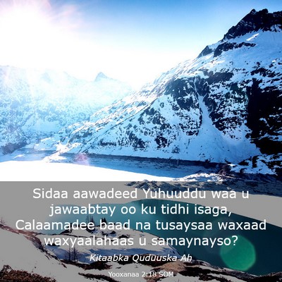 Picture 03 - Yooxanaa 2:18 SOM - Sidaa aawadeed Yuhuuddu waa u jawaabtay oo ku - Bible Verse Picture