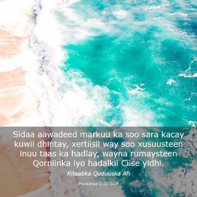Picture 03 - Yooxanaa 2:22 SOM - Sidaa aawadeed markuu ka soo sara kacay kuwii - Bible Verse Picture