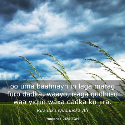 Picture 03 - Yooxanaa 2:25 SOM - oo uma baahnayn in laga marag furo dadka, waayo, - Bible Verse Picture