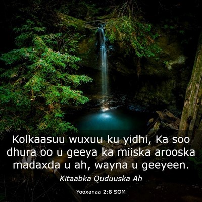 Picture 03 - Yooxanaa 2:8 SOM - Kolkaasuu wuxuu ku yidhi, Ka soo dhura oo u geeya - Bible Verse Picture