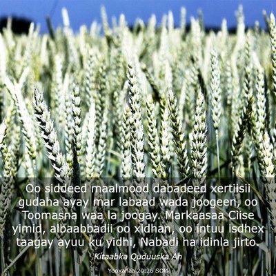 Picture 03 - Yooxanaa 20:26 SOM - Oo siddeed maalmood dabadeed xertiisii gudaha - Bible Verse Picture