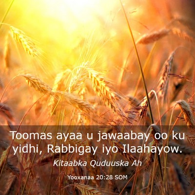 Picture 03 - Yooxanaa 20:28 SOM - Toomas ayaa u jawaabay oo ku yidhi, Rabbigay iyo - Bible Verse Picture