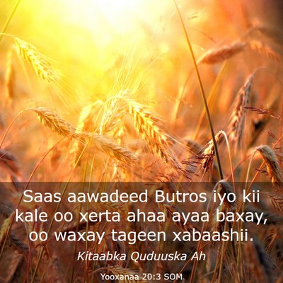 Picture 03 - Yooxanaa 20:3 SOM - Saas aawadeed Butros iyo kii kale oo xerta ahaa - Bible Verse Picture