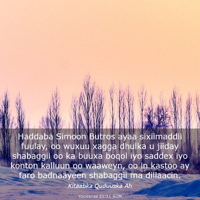 Picture 03 - Yooxanaa 21:11 SOM - Haddaba Simoon Butros ayaa sixiimaddii fuulay, oo - Bible Verse Picture
