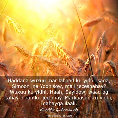 Picture 03 - Yooxanaa 21:16 SOM - Haddana wuxuu mar labaad ku yidhi isaga, Simoon - Bible Verse Picture