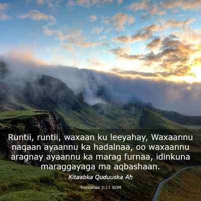 Picture 03 - Yooxanaa 3:11 SOM - Runtii, runtii, waxaan ku leeyahay, Waxaannu - Bible Verse Picture