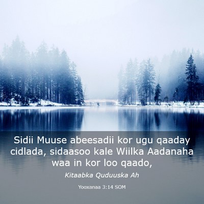 Picture 03 - Yooxanaa 3:14 SOM - Sidii Muuse abeesadii kor ugu qaaday cidlada, - Bible Verse Picture