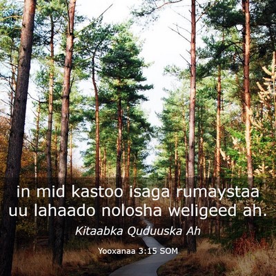Picture 03 - Yooxanaa 3:15 SOM - in mid kastoo isaga rumaystaa uu lahaado nolosha - Bible Verse Picture