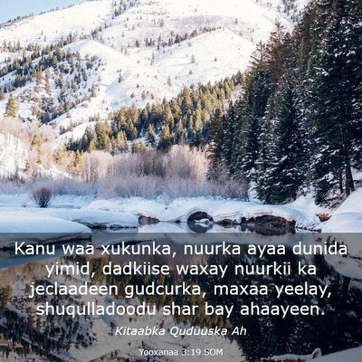 Picture 03 - Yooxanaa 3:19 SOM - Kanu waa xukunka, nuurka ayaa dunida yimid, - Bible Verse Picture