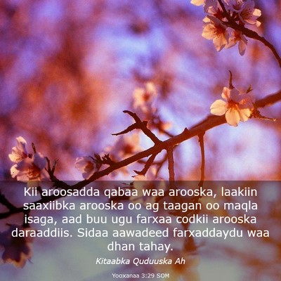 Picture 03 - Yooxanaa 3:29 SOM - Kii aroosadda qabaa waa arooska, laakiin - Bible Verse Picture